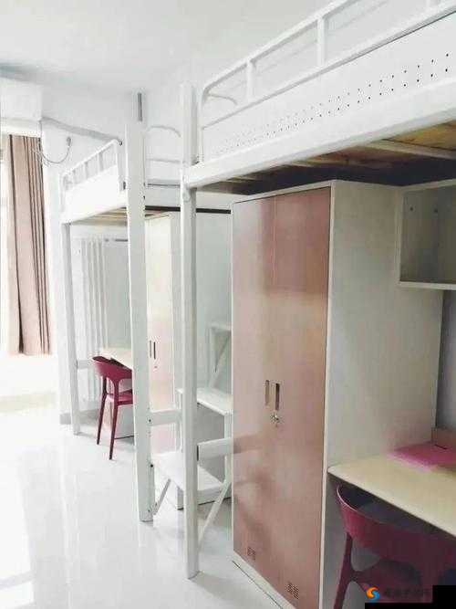 大学男生宿舍私密网站：室友间的飞行时刻