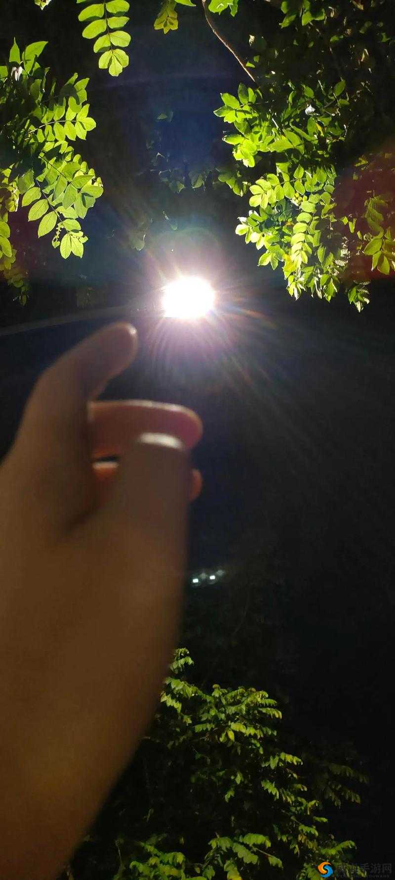 暗夜在线使用：深夜陪伴，畅享无限可能