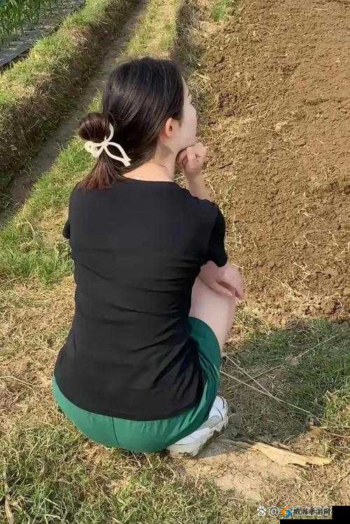 儿子耕种母亲的田地的寓意视频：爱的传承与责任