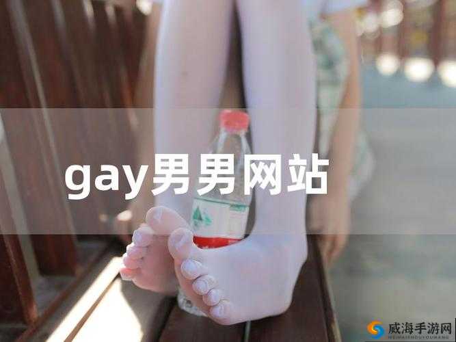 国产男同 Gay 男男 1069 外卖：打造专属同志美食体验