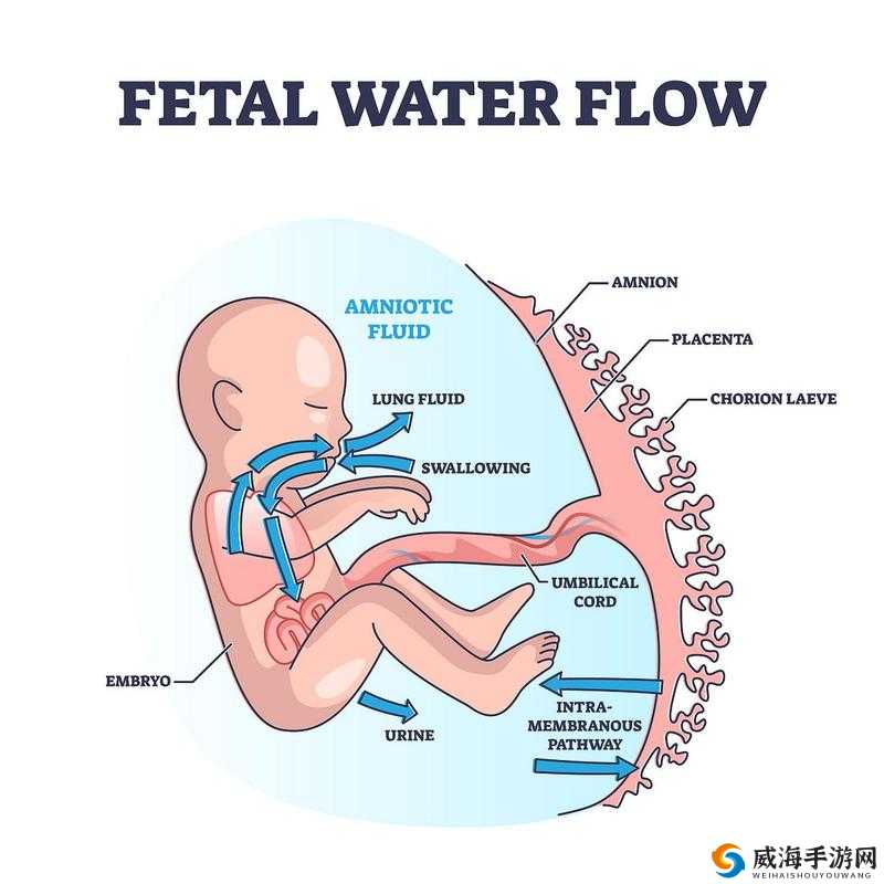 帕鲁的体液：神秘液体的惊人秘密