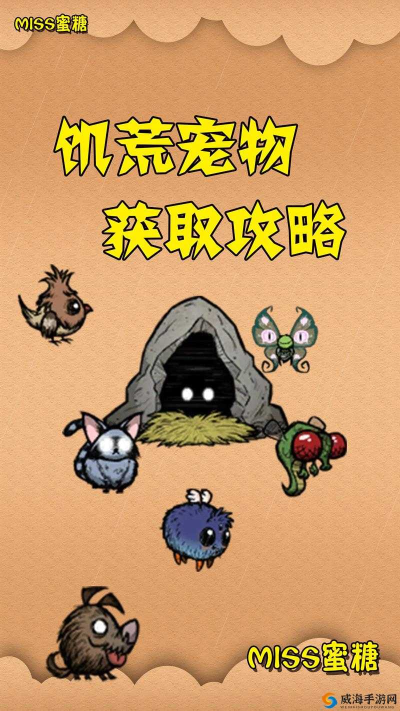 饥荒游戏中无法看到主机问题的全方位解决攻略指南