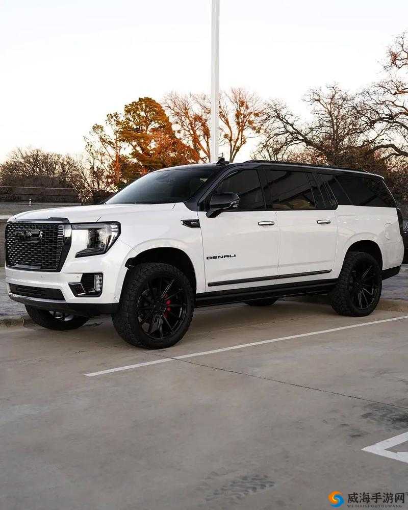 成熟的欧美精品 SUV：畅享极致驾乘体验