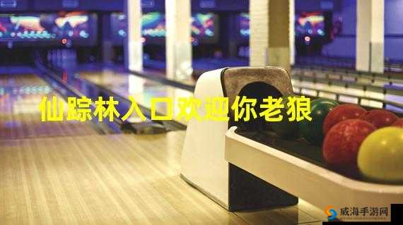仙踪林网站入口欢迎你，畅享精彩之旅