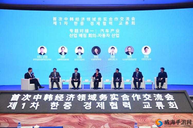 中韩无专区综合：探讨两国交流与合作