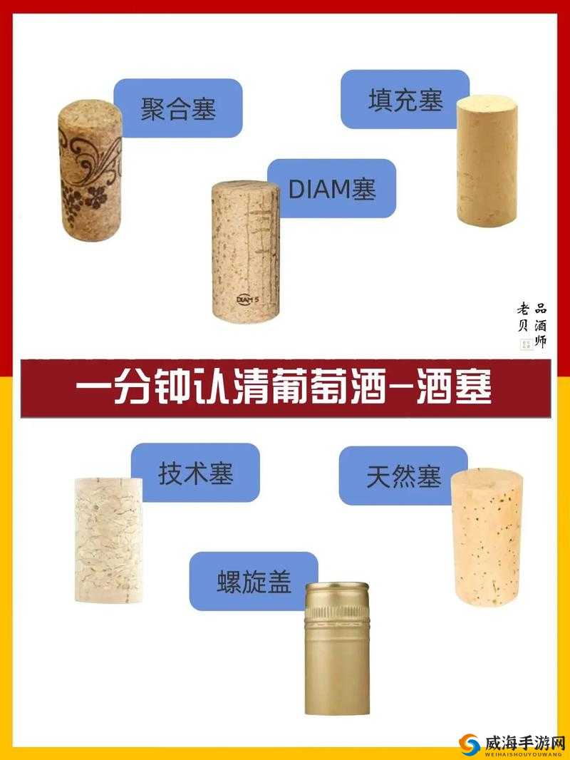 红酒瓶塞住不准掉下来：揭秘神奇的密封技巧