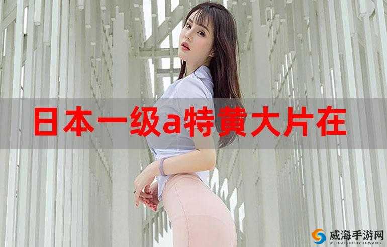 欧美又黄又嫩大片 A 级克洛伊：极致诱惑之旅