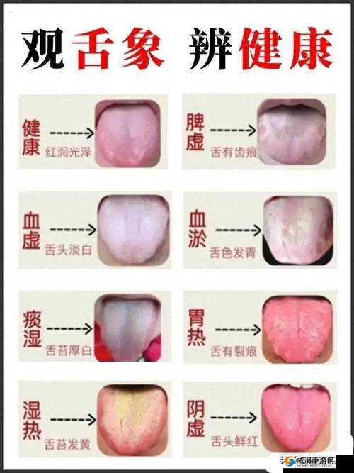三穴齐开：探秘人体奥秘之关键