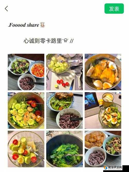 苏软软汆肉：美食与日常的完美结合