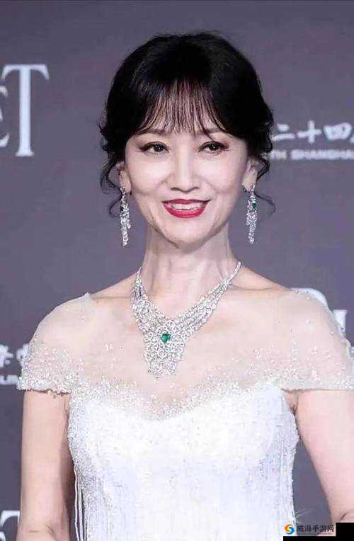 中国老太丰满毛耸耸:揭示衰老与美丽的真实故事