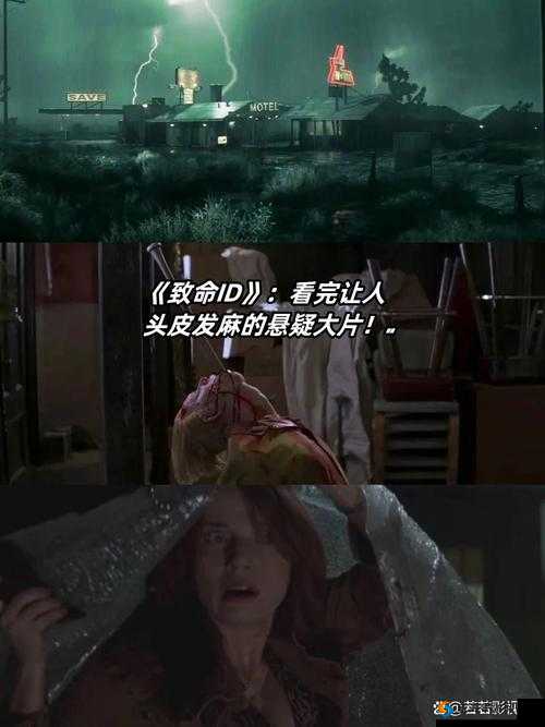 找坤的是什么电影:一部悬疑佳作