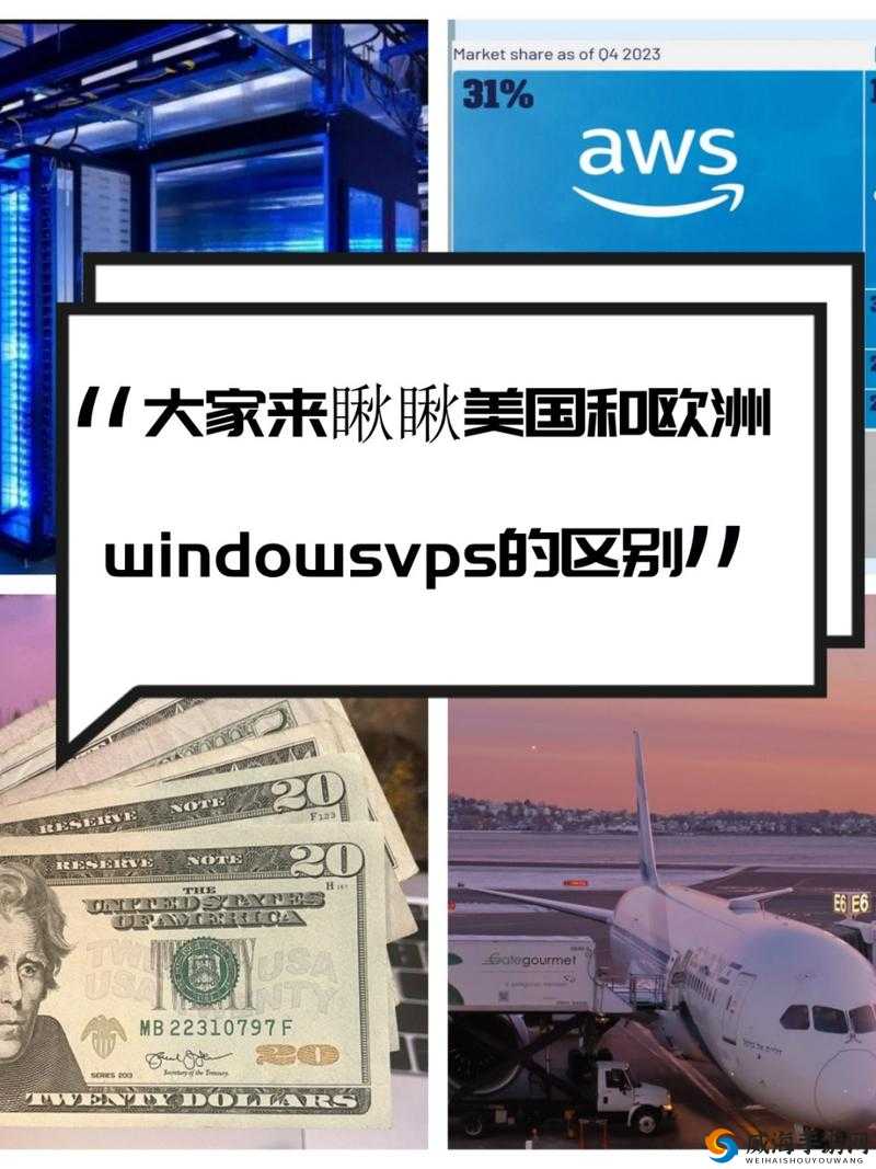 美国和欧洲 VPS：优势与应用场景
