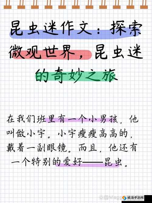 超级胬肉系统全文阅读:探索未知的奇妙之旅