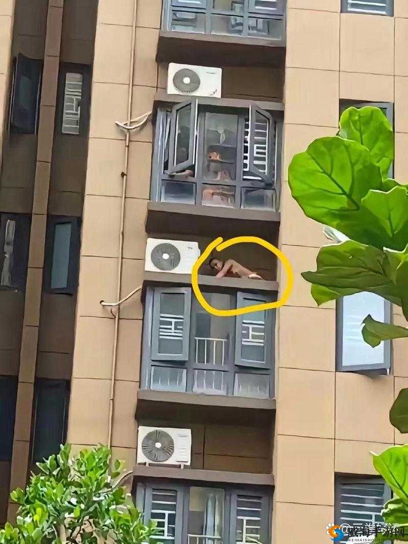 趴窗户上做给对面看:别样的行为动机
