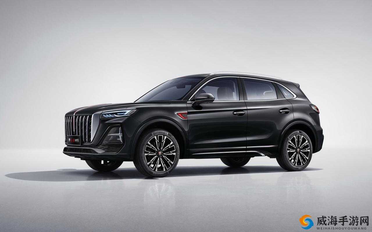 497799 欧洲版的国产 SUV 高性价比性能逆袭:震撼来袭