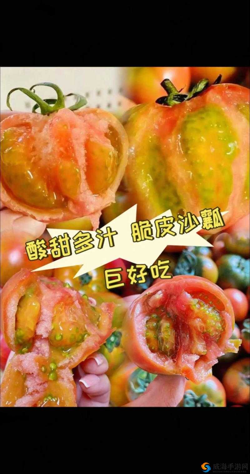 久久丫精品忘忧草：口感独特、品质上乘