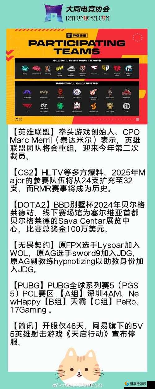次次挨揍 CPO 应对策略：如何有效应对挨揍