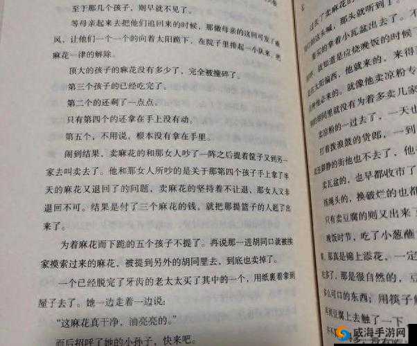 麻花豆传：一段传奇的故事