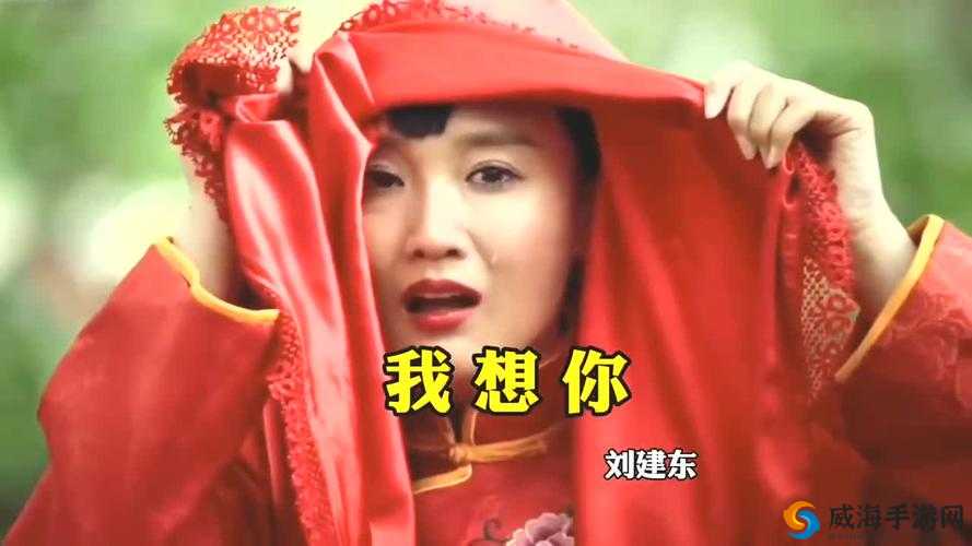 我想你高清 MV 观看视频-精彩呈现