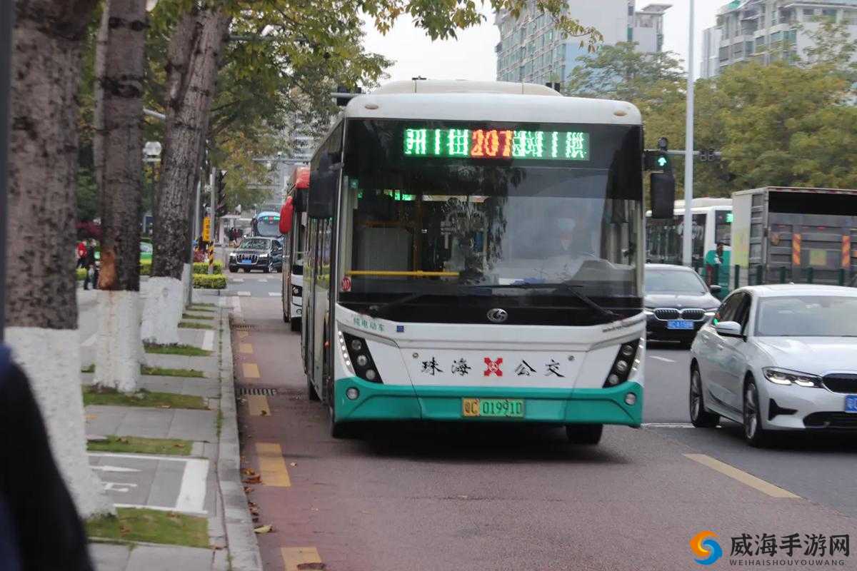 几天没 C 水这么多公交车：数量惊人引关注