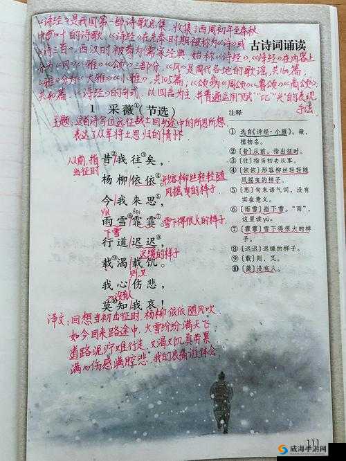 采薇与家公全文免费阅读：精彩故事等你来读