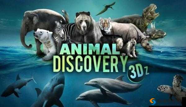 美国 ZOOM 动物 3D：探索神秘动物世界