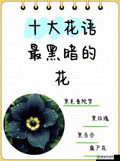 诡秘医院:门把手后的秘密