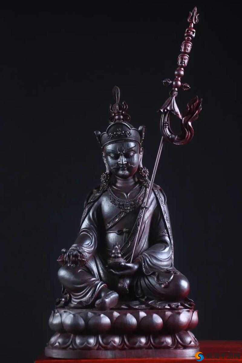 金刚杵灌顶肉莲花：神秘仪式的奇幻探索