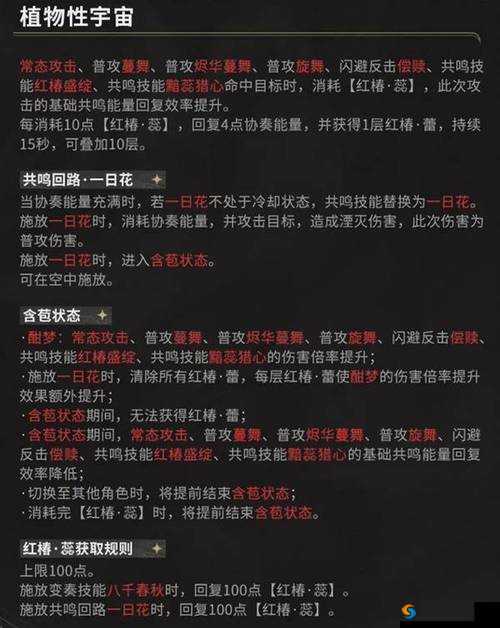《圣歌新版连击伤害深度解析：更新后连击伤害效果如何》