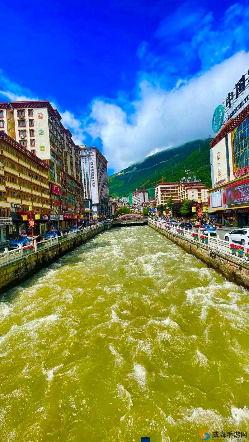 XXXX69：开启独特之旅