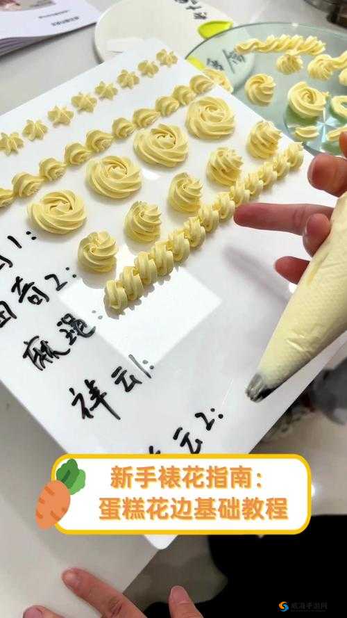 触尾少女LV2手机版新手教程：全面指南