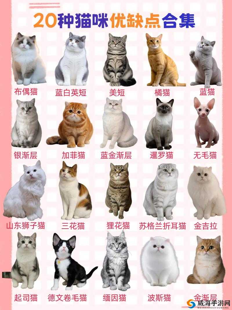 和平精英红火福石的位置及获取方法大揭秘