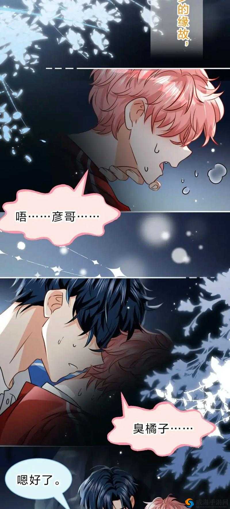 宠溺无边 1v3 双胞胎：甜宠不停歇