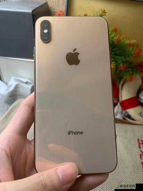 揭秘欧美 iPhoneXSMax 视频重回巅峰：背后原因