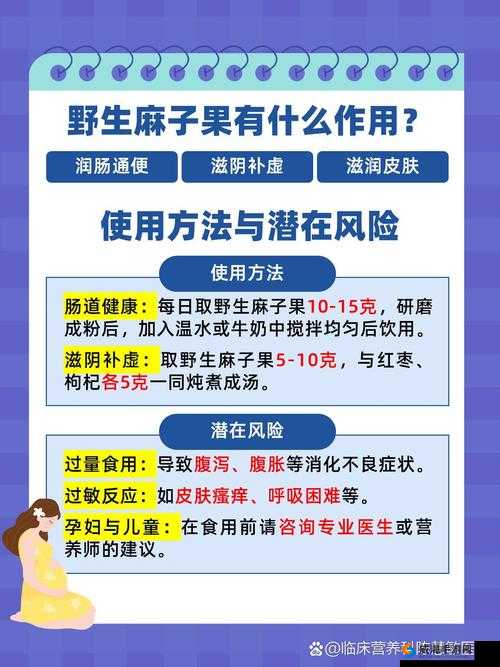 日 BBXXX69：揭秘背后的秘密