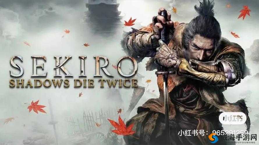 《只狼：罗伯特的鞭炮秘境寻踪》