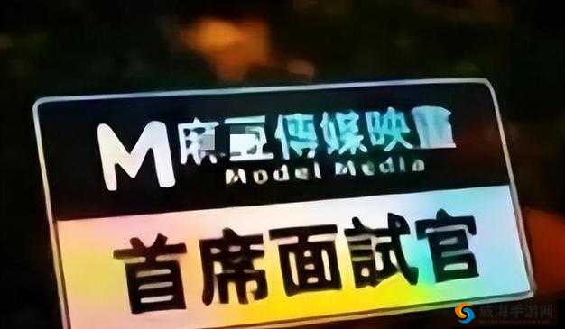 MD豆传媒一二三区进站口：重要通道