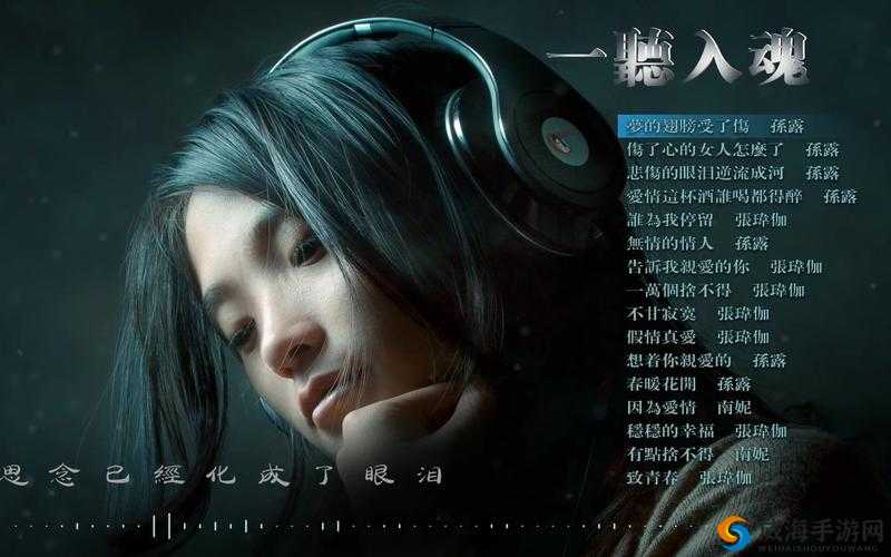 声声入魂 hifi：极致听觉享受