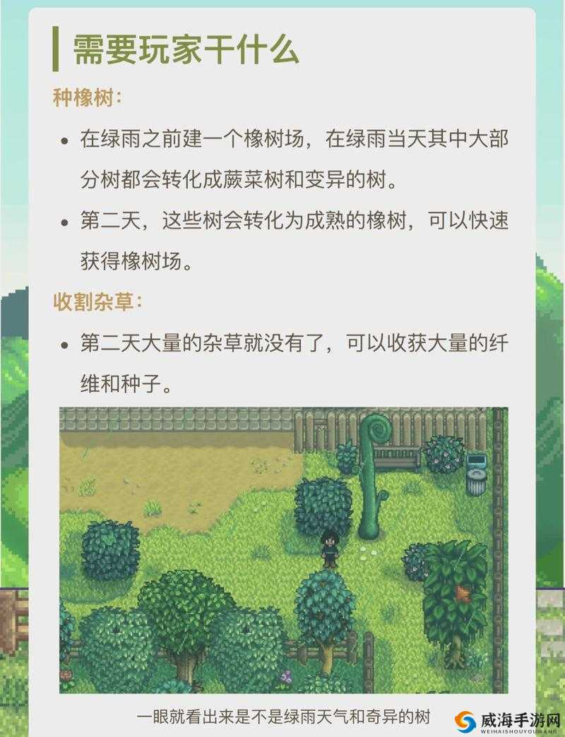 星露谷物语蕨菜获取位置解析