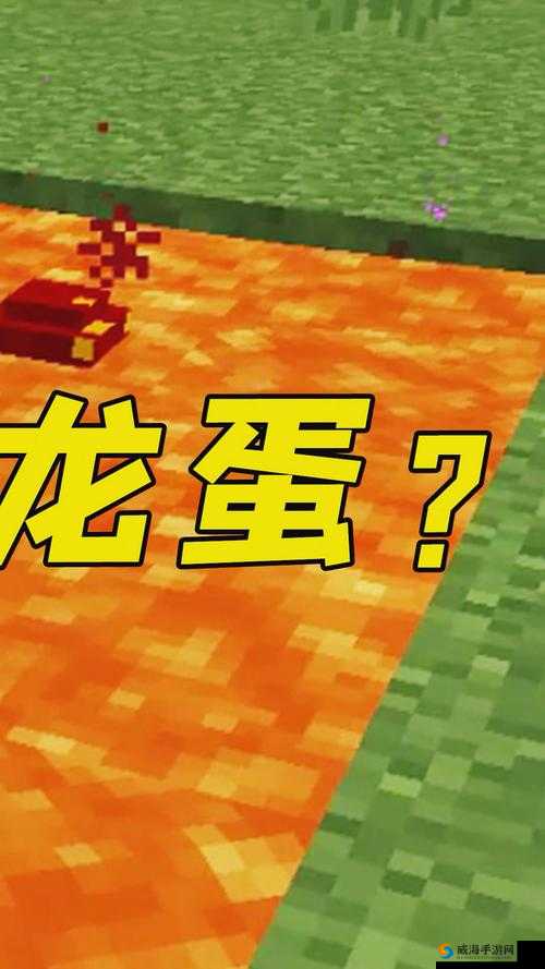 我的世界手机版龙蛋孵化攻略：全方位解析龙蛋孵化步骤与技巧