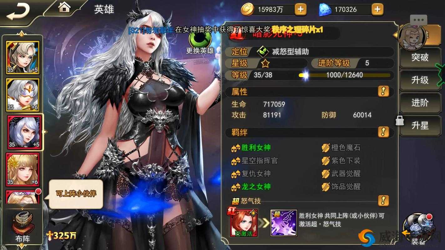 女神联盟肉盾英雄哪个好,资源管理中的智慧选择
