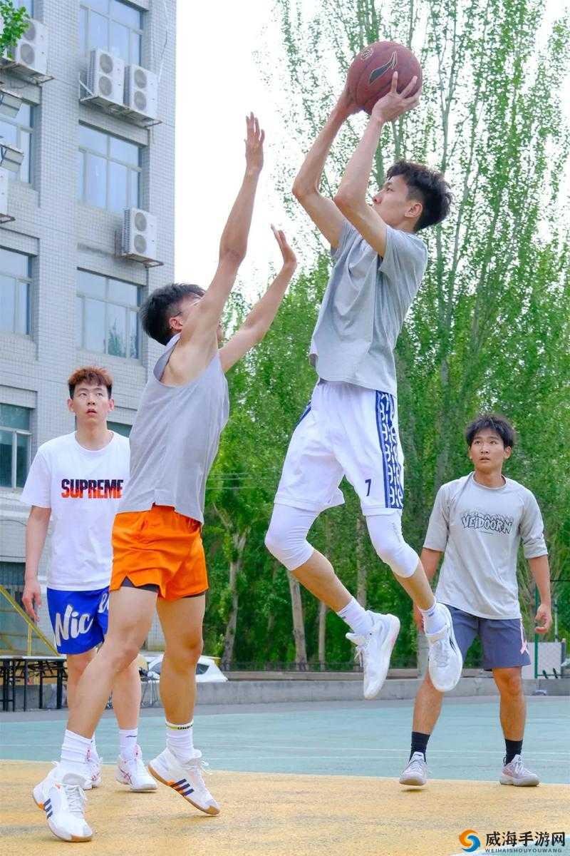 大学篮球体育飞机 Chinese 的特点- 激情活力与创新元素的融合