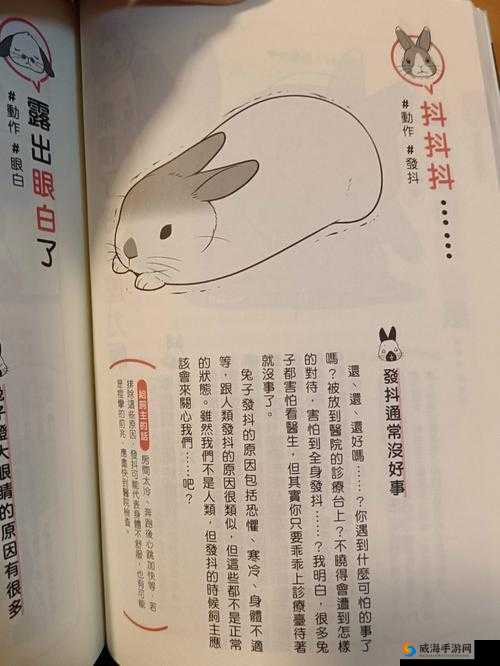 两个大兔子在衬衫里抖来抖去真有趣