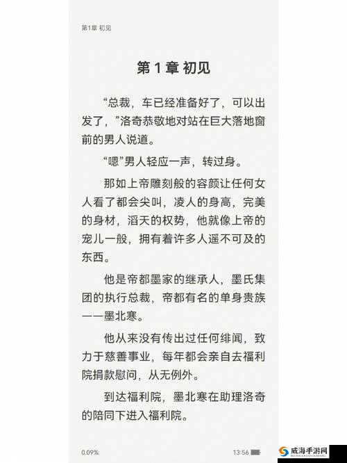 宠爱 1V1：独属于你的深情相伴