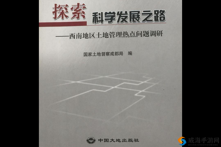 17c38.cpp 的探索之路