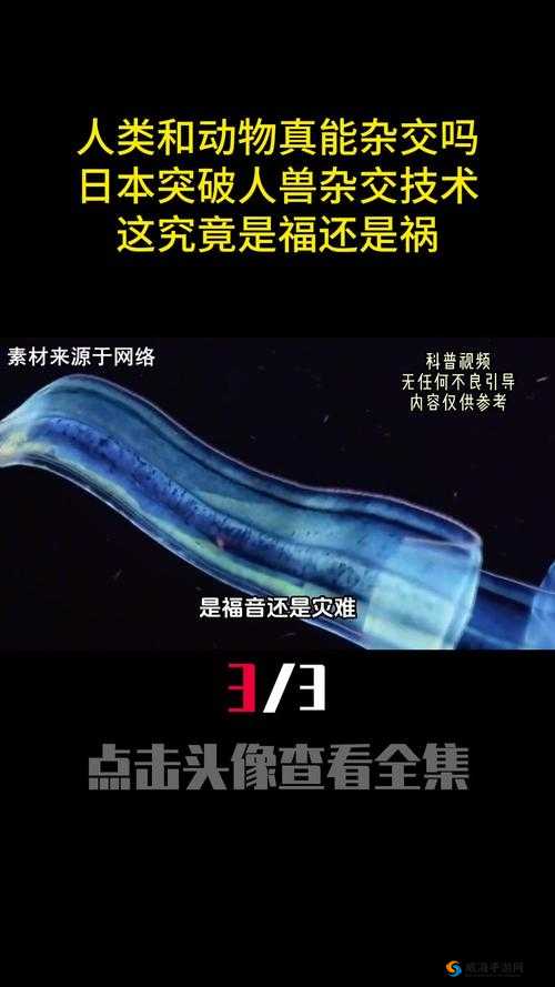 了解杂交 BUCSM 人类 SSBA 被爆料完全免费真相