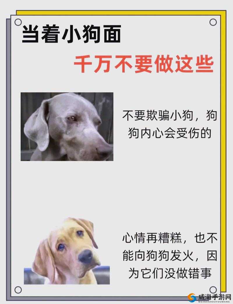 狗 Zoom 和人类 Zoom 哪个好：深入对比分析与优劣探讨