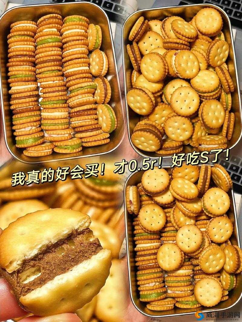 两根前后夹心饼干的奇妙组合