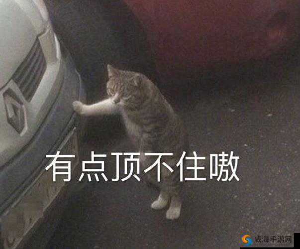 快顶不住了刺射腿上:压力太大,寻求解脱之道