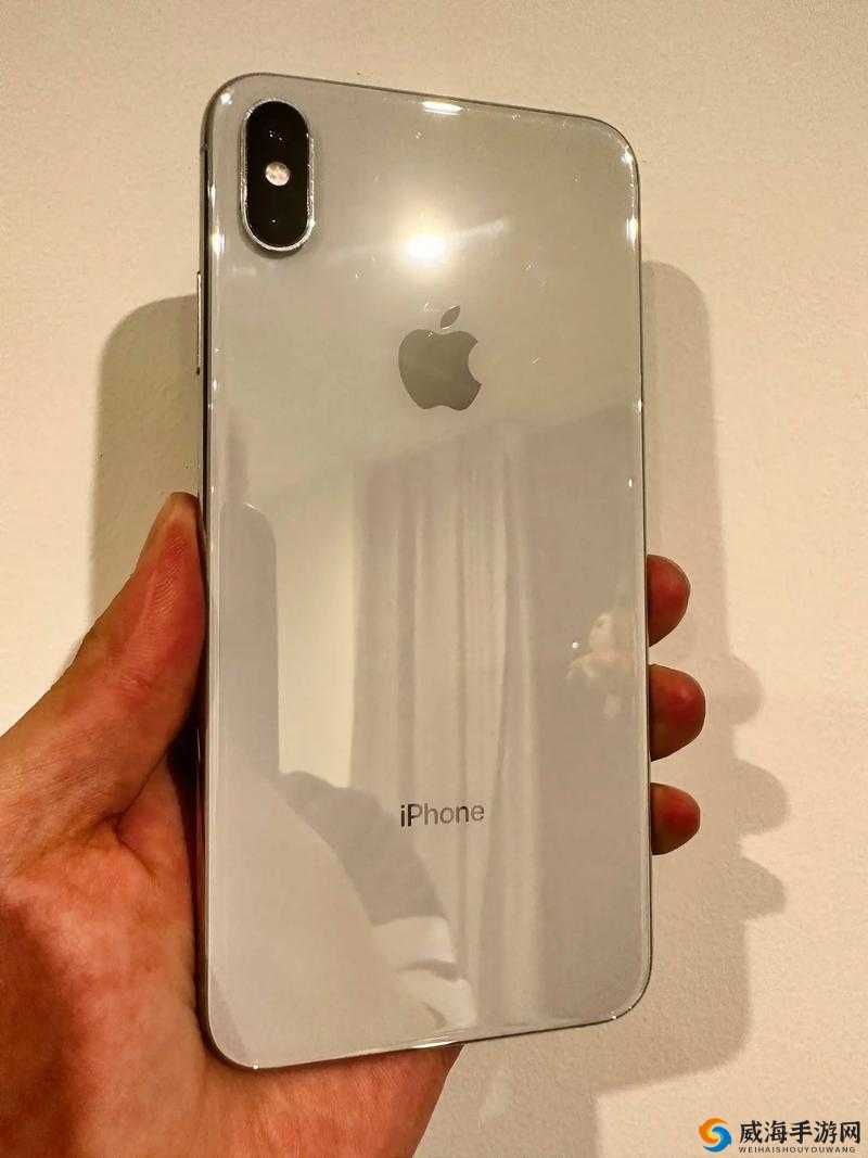 iphoneXs Max 欧美高级令人费解的独特魅力